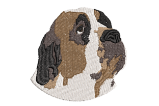 A Practical Review of the Realistic Saint Bernard Embroidery Design