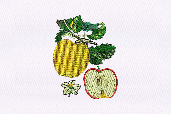 Apple and Half Apple Embroidery: A Designer's Practical Review