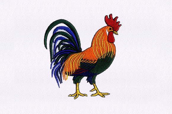 The Brahma Chicken: A Cozy Embroidery Design for Personalizing Gift Products